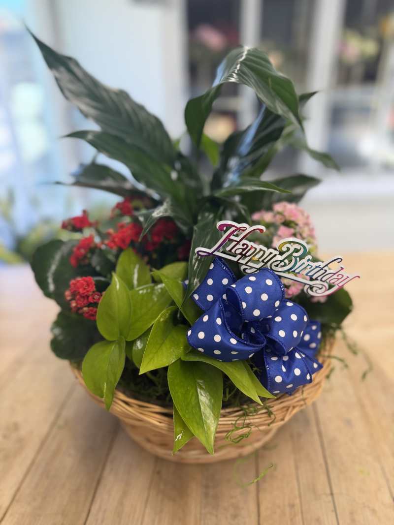 Birthday Dish Garden