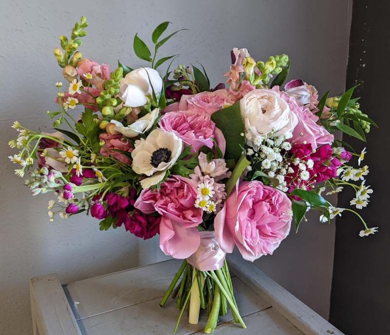 The Dizzy Daisy - Weddings 