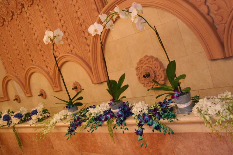 Blue Elegance Wedding