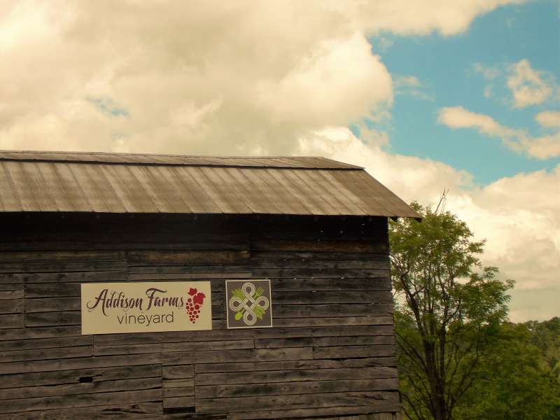 Addison Vineyard Wedding