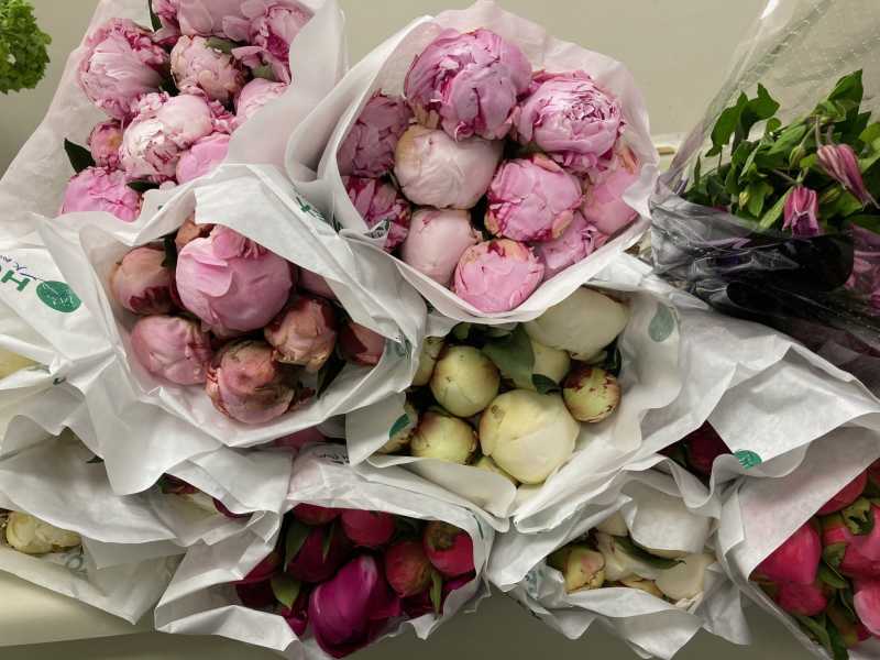 Peonies