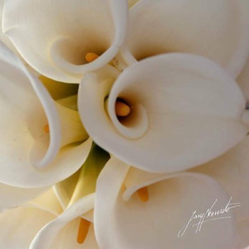 La Venta Inn Wedding