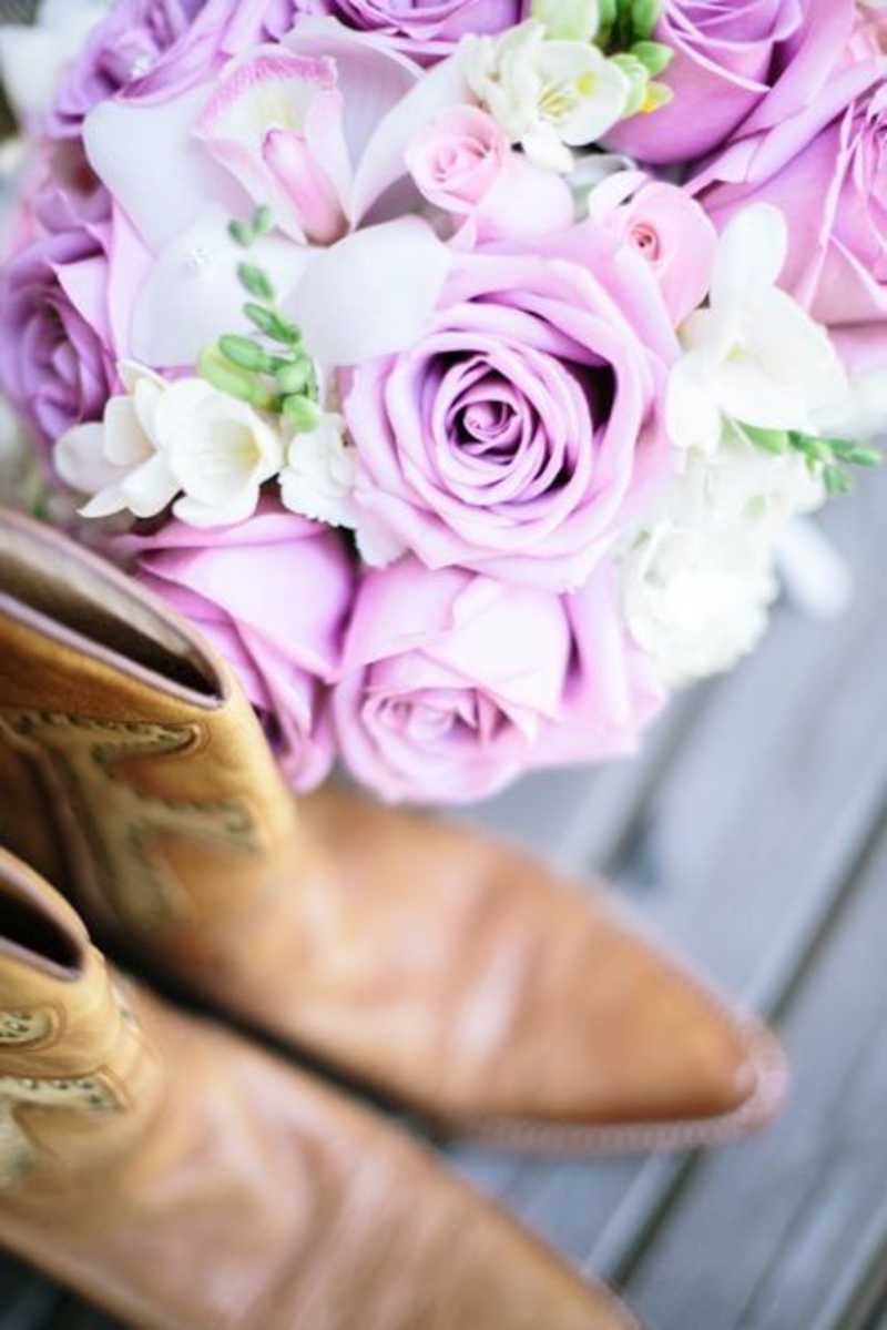 Lavenders in Temecula