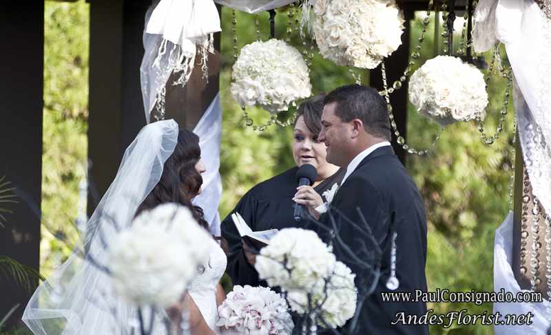 Black & White in the South Bay