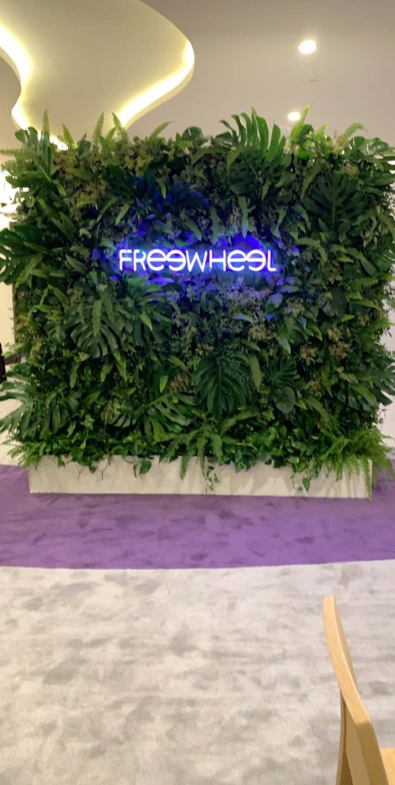 Convention Flowers and Plants