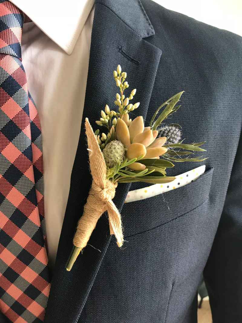 Succulent Style