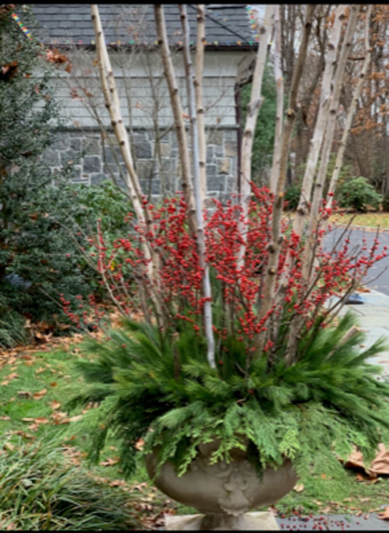 Outdoor Design Services