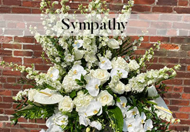 Sympathy