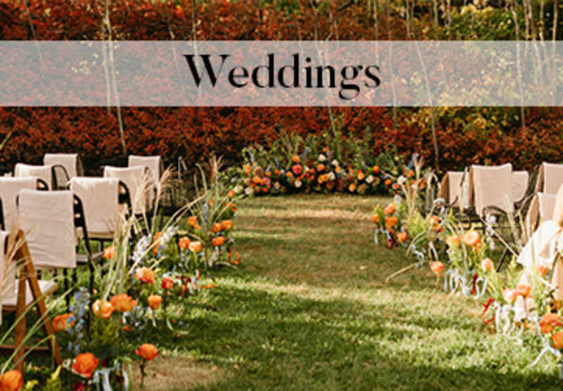 Weddings