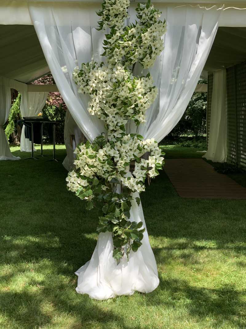 Wedding Gallery