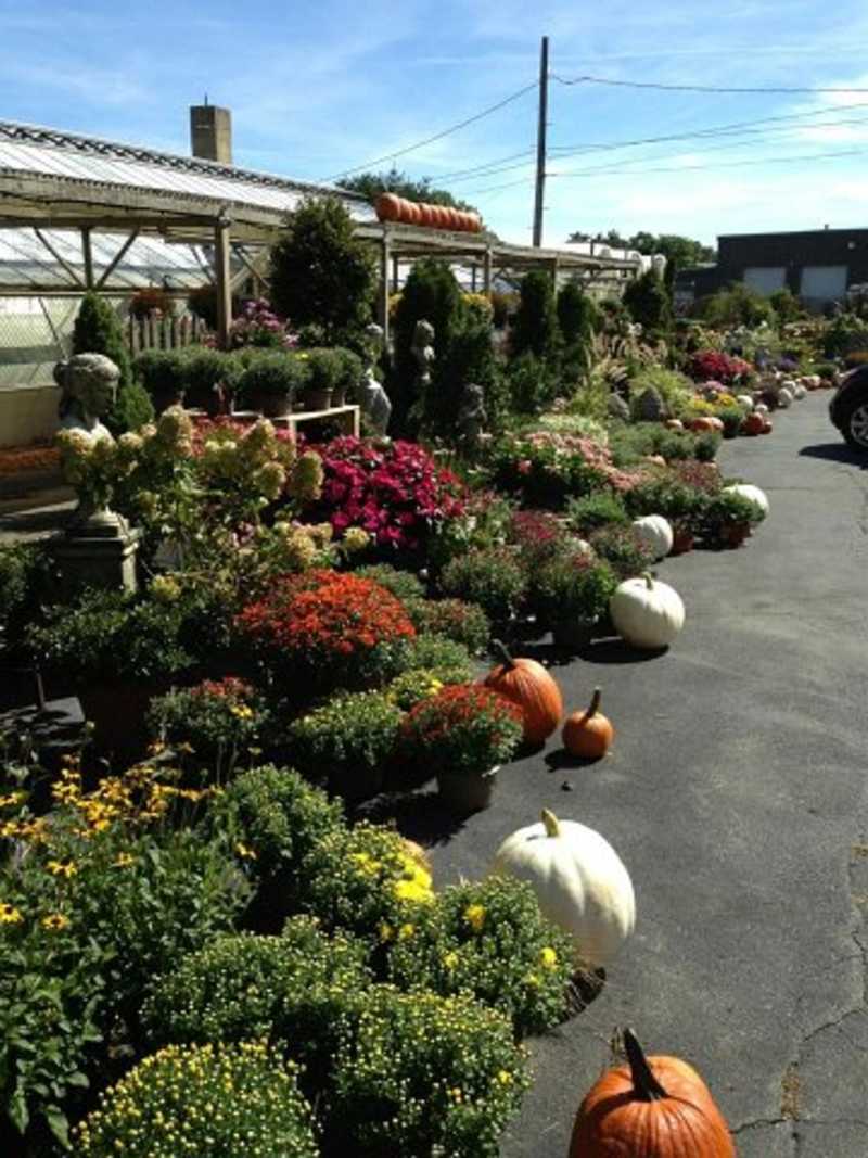 Garden Center Fall Photos
