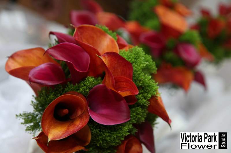 Mieka Kalinoski's Wedding