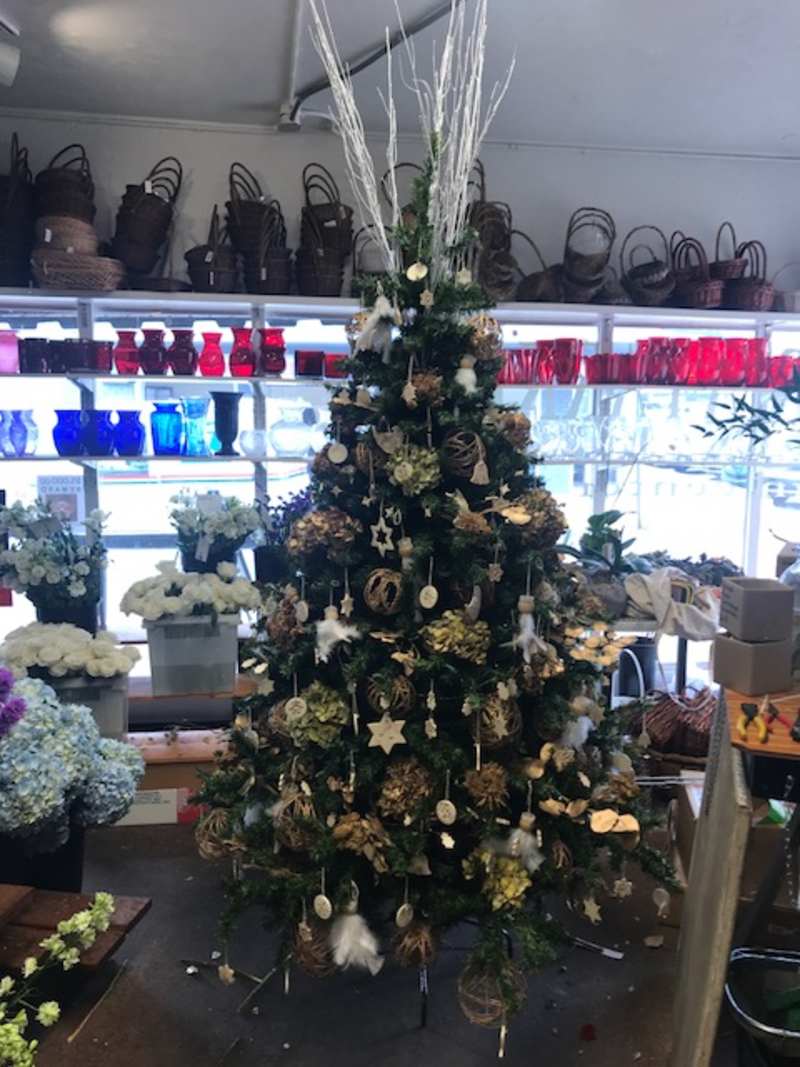 Bonnet House Christmas Ornaments 2018