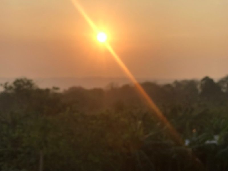 Honduras 2019 Spring