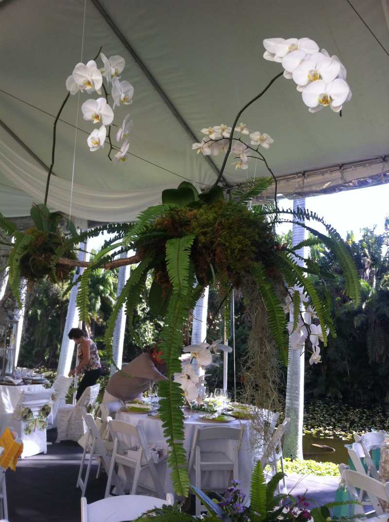 Bonnet House Tea 2014