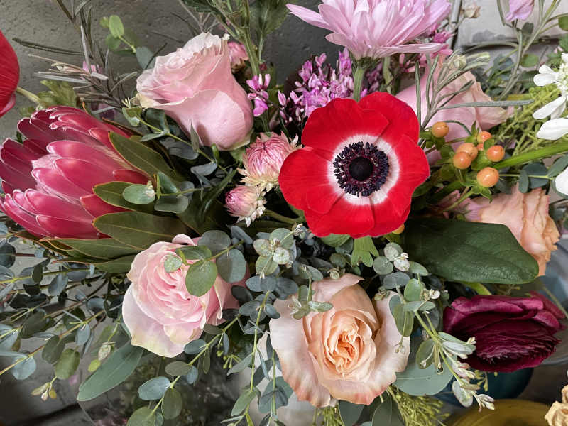 Daily Flowers 