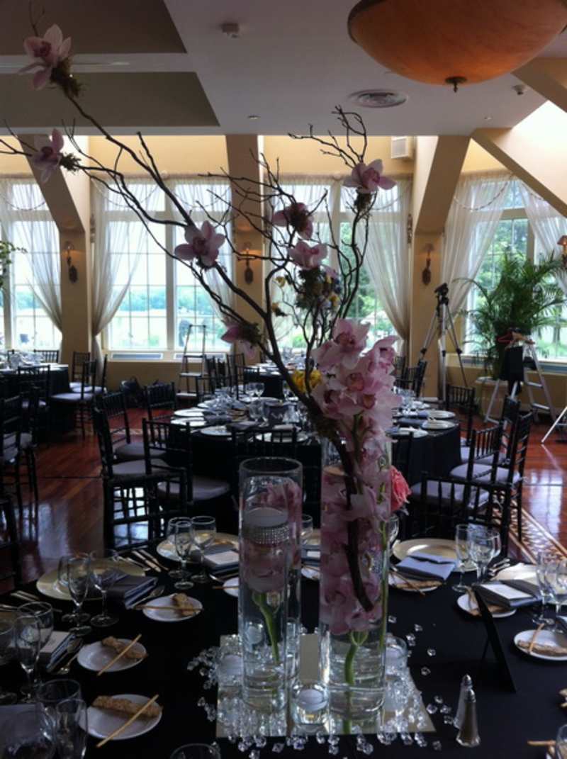 David's Wedding