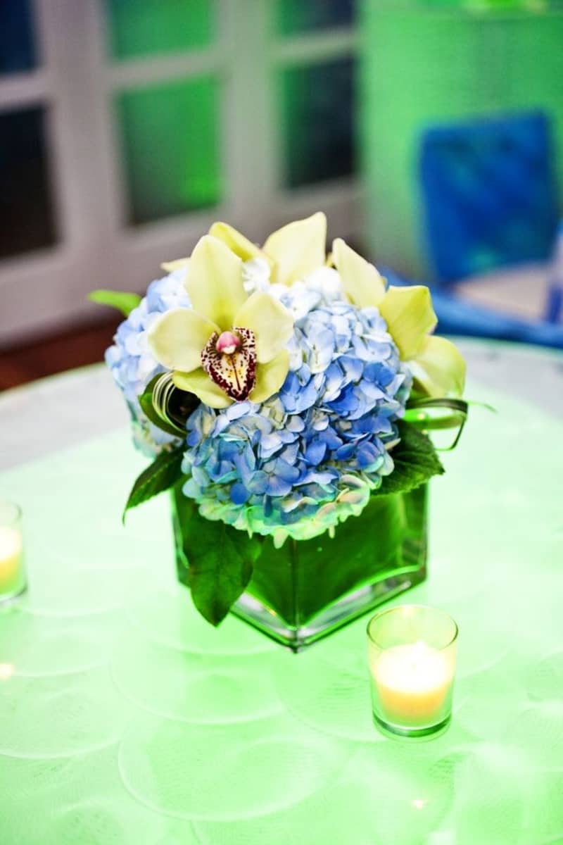 The Knot Networking Event