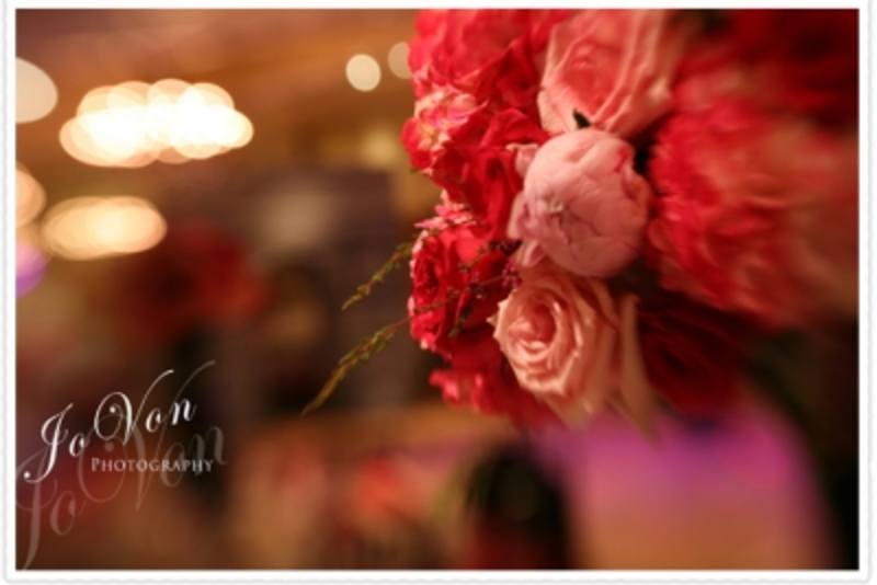 Ilana's Bat Mitzvah