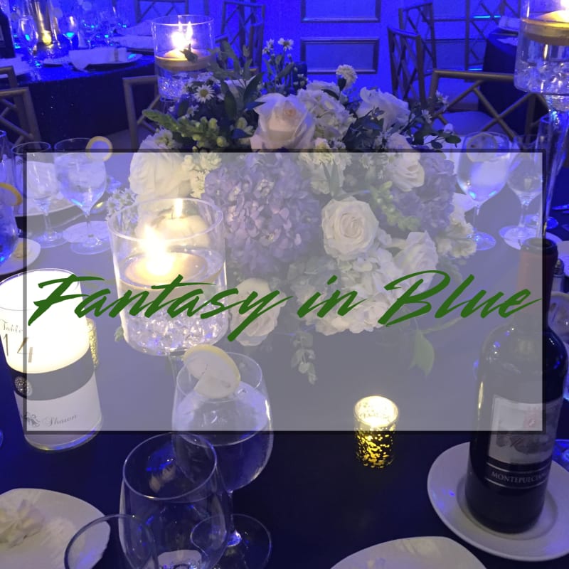 Wedding Spotlight