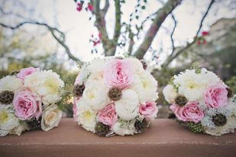 Lauren's Wedding