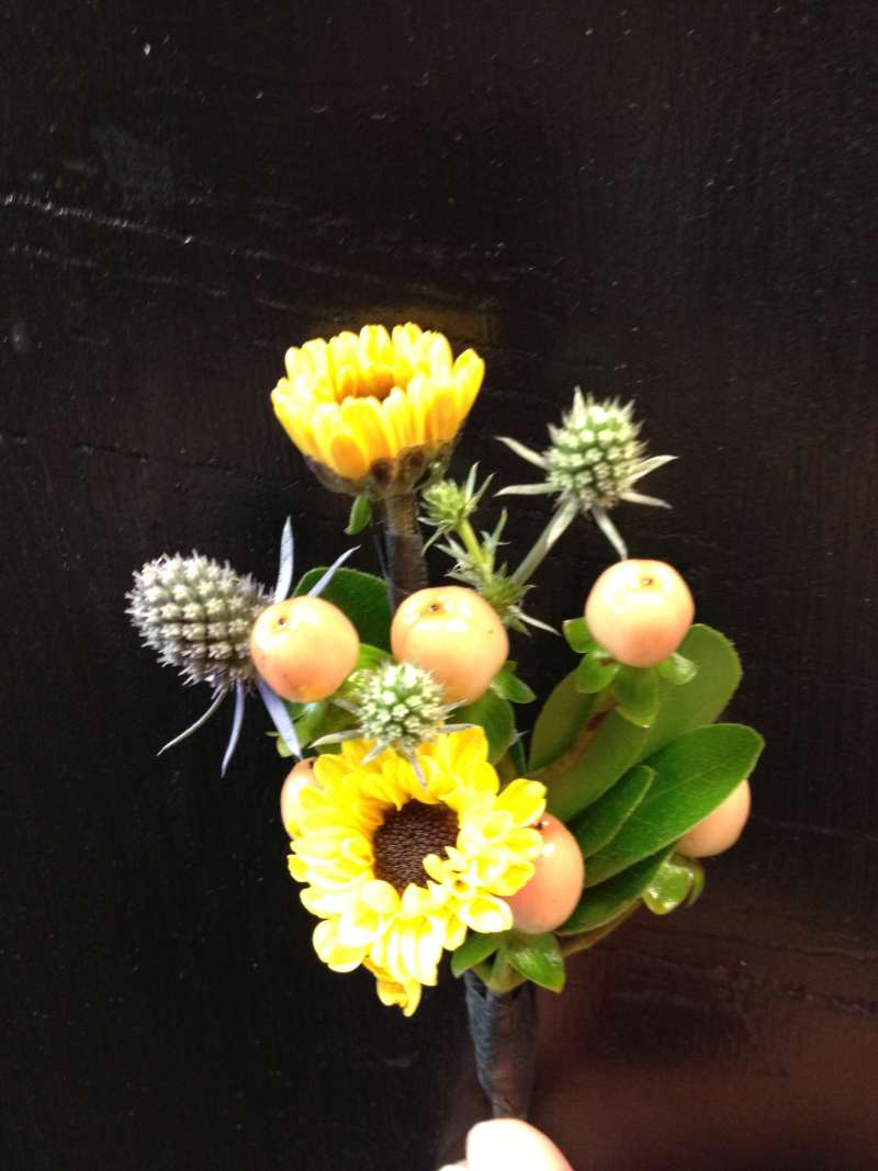 Diamonds, Pearls and Ice