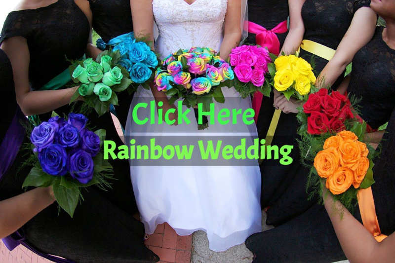 Nicole and Jose's Rainbow Wedding