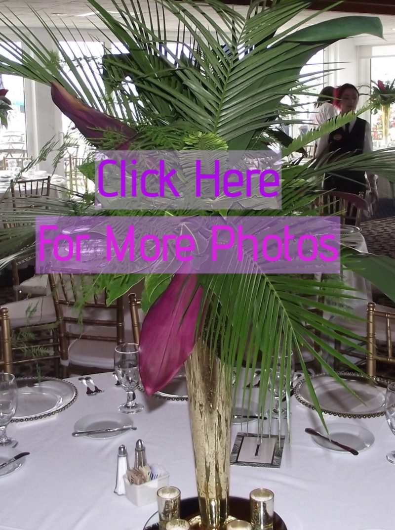 Protea and the Yacht Club