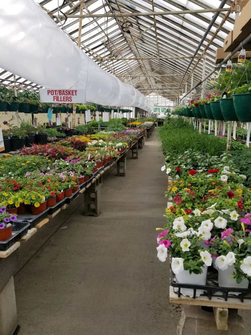 2021 Greenhouse flowers