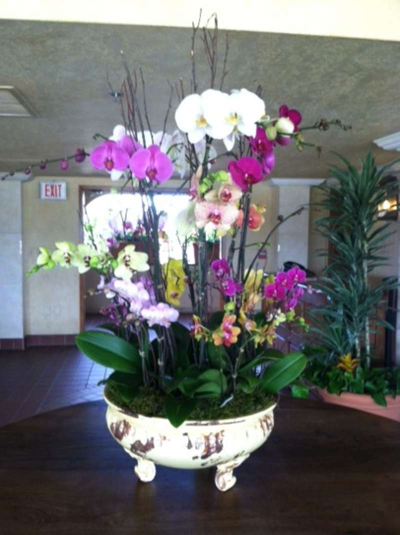 Del Mar Thoroughbred Club