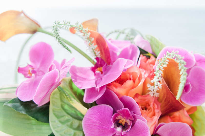 Cuvier Park Wedding