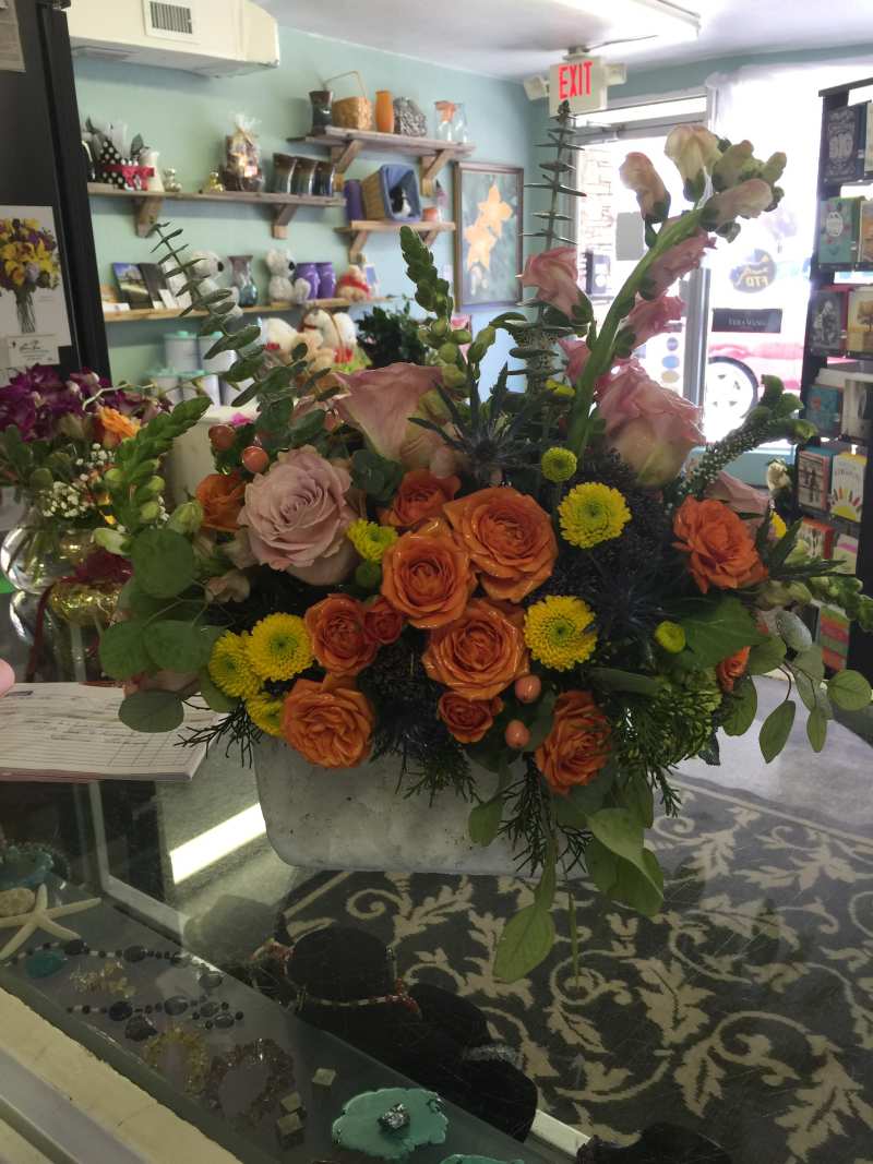 Roses Rose
