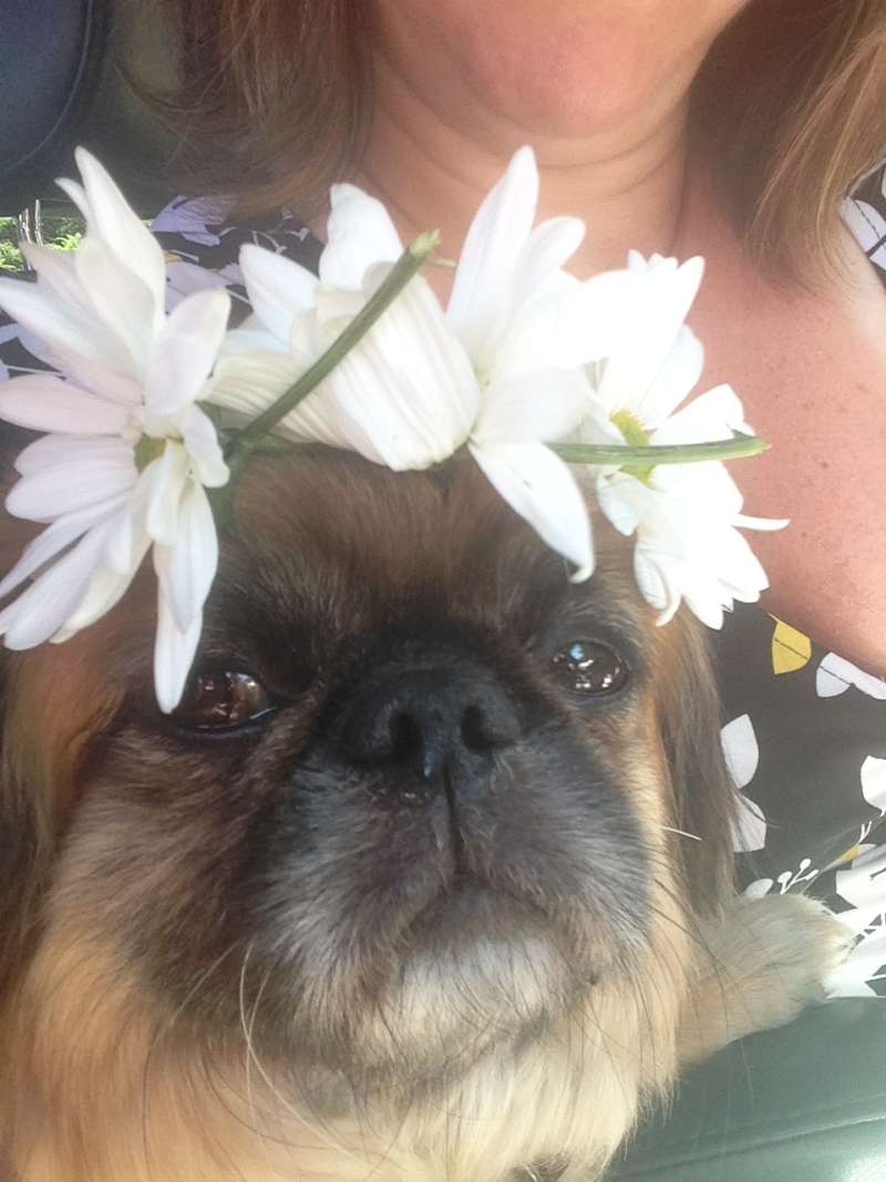 Our Mascot "Eggroll"