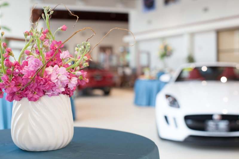 Land Rover / Jaguar of Peabody Event 2016