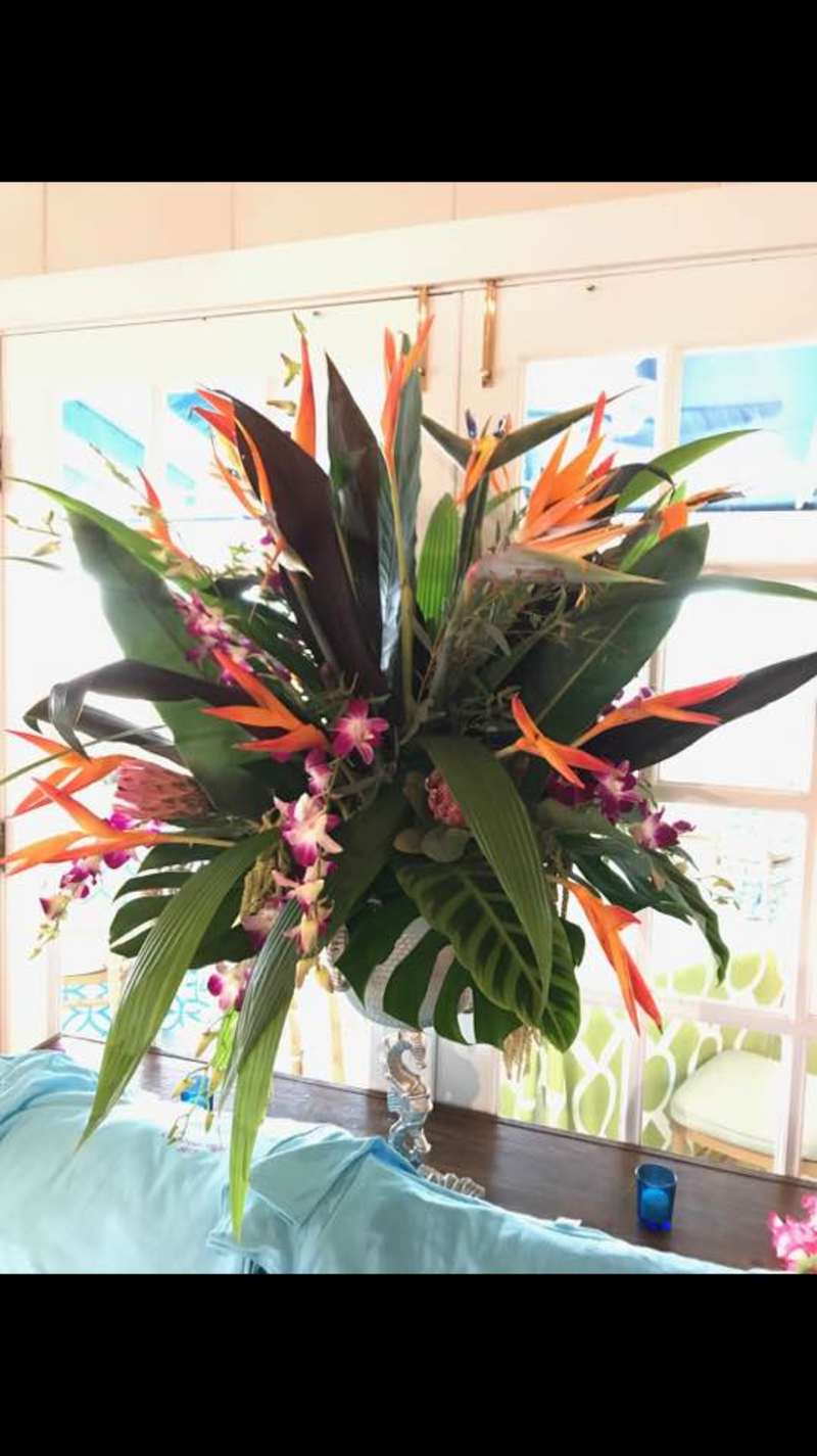 Singing Beach Club Caribbean Night! 2017