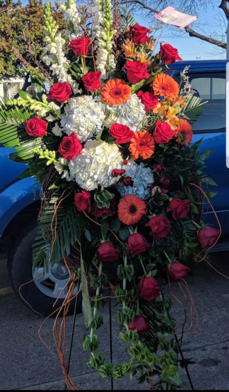 Vibrant Color Premium Standing Spray