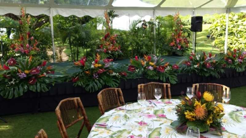 Tropical arrangements