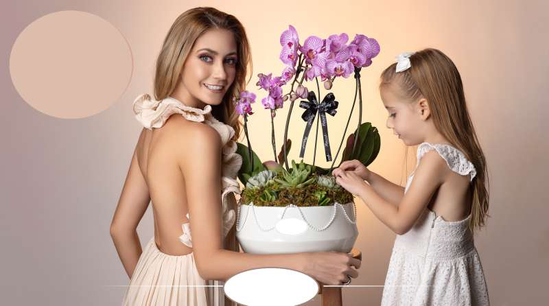 Orchid Plant Houston Delivery
