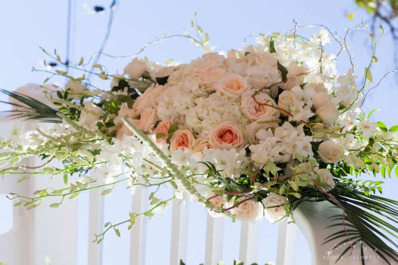 Weddings & Events