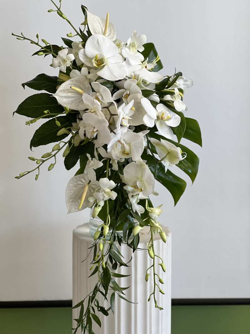 Elegant tropical floral arrangement featuring white orchids, white anthuriums, glossy green foliage, and trailing greenery styled on a white pedestal.