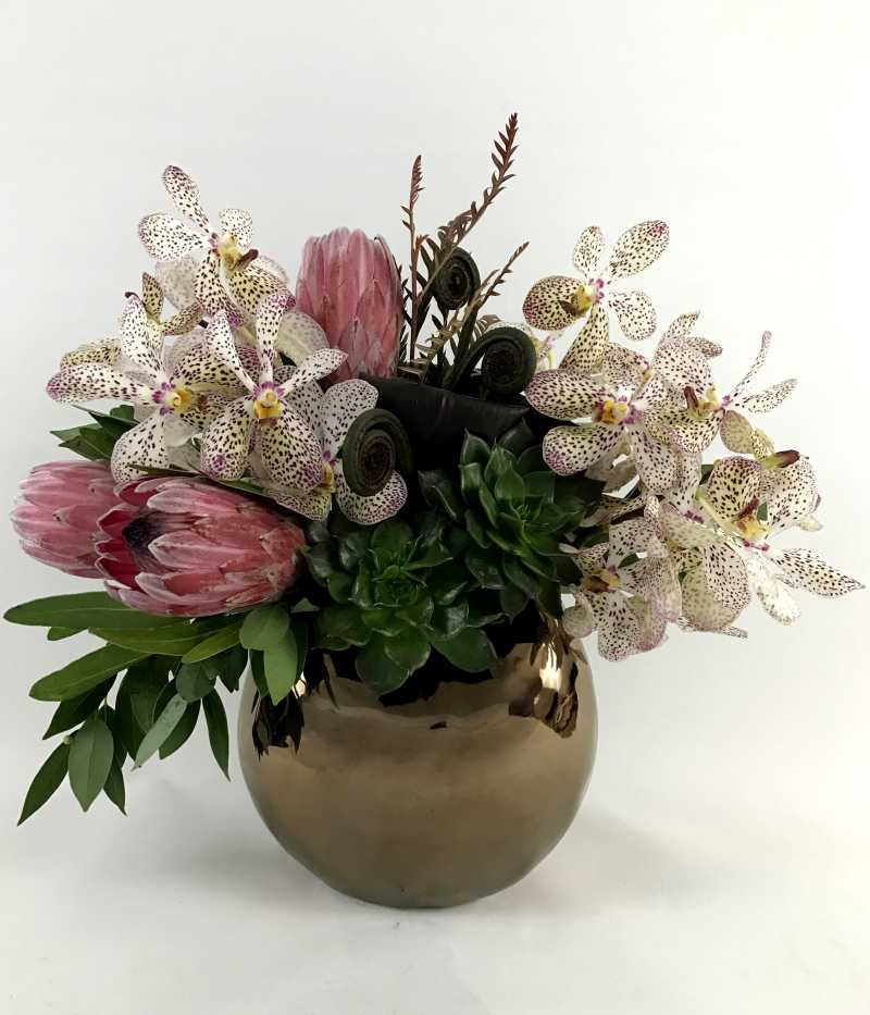 Valentine's Day 2017