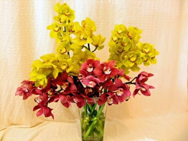 Corporate Events and Accounts