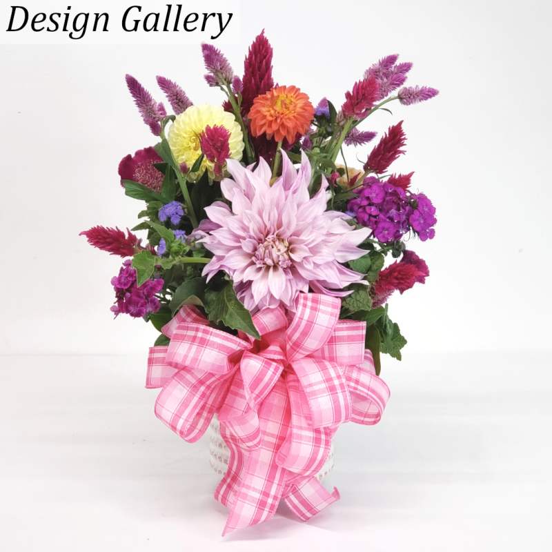Design Gallery