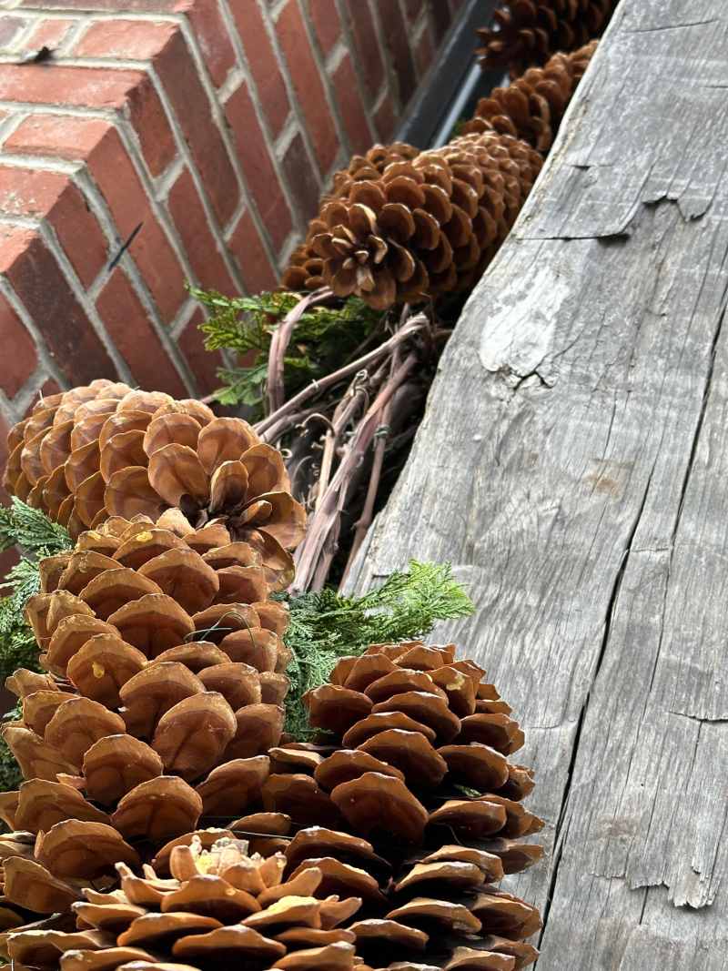 Exterior Planters
