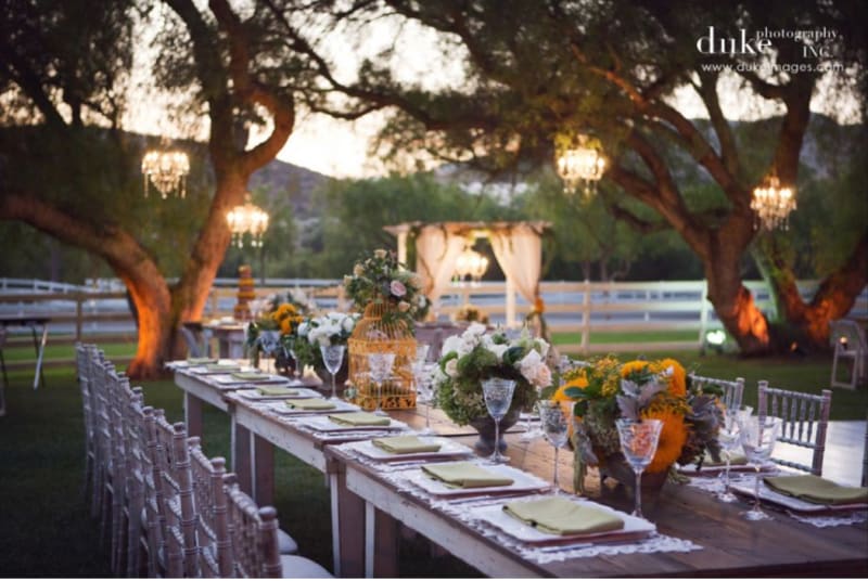 Wedding // Summer Eve - August 2015, Hummingbird Nest