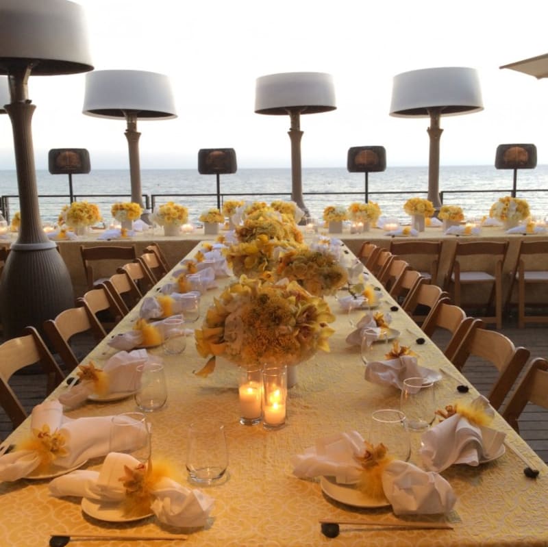 Special Events // See Yellow Baby's Birthday - November 2014, Nobu