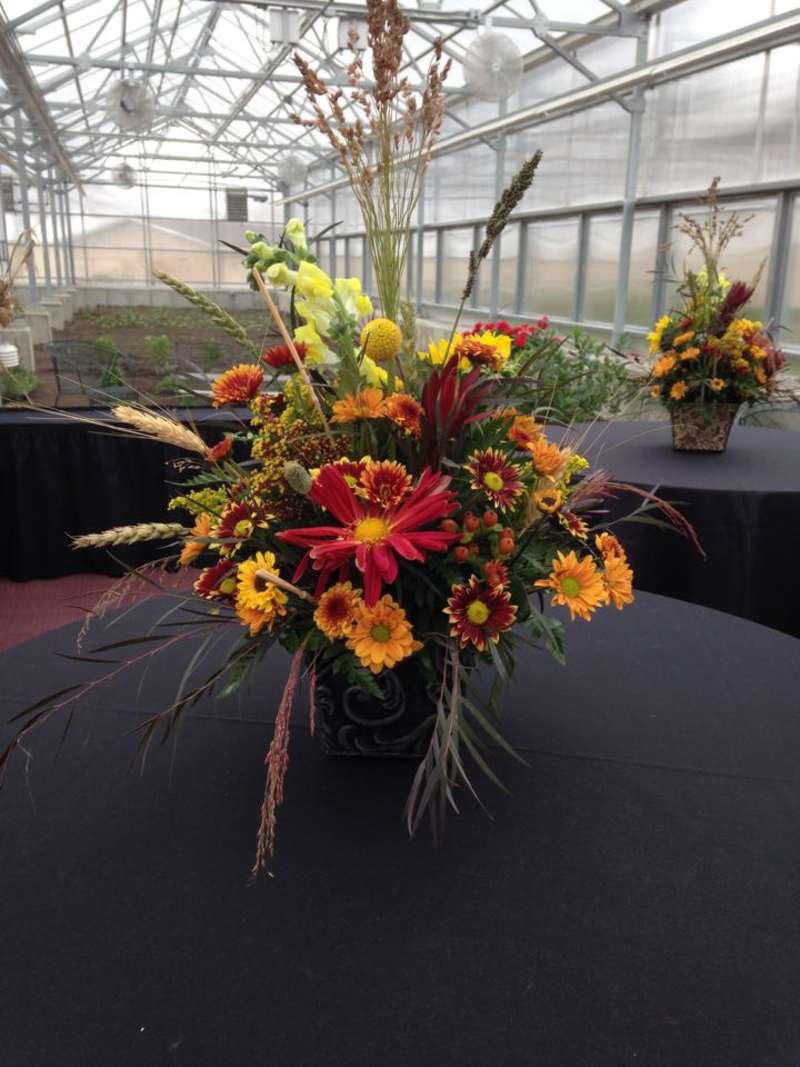 IHCC New Greenhouse Dedication