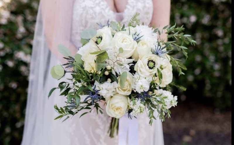 Shana at Ellis Preserve 