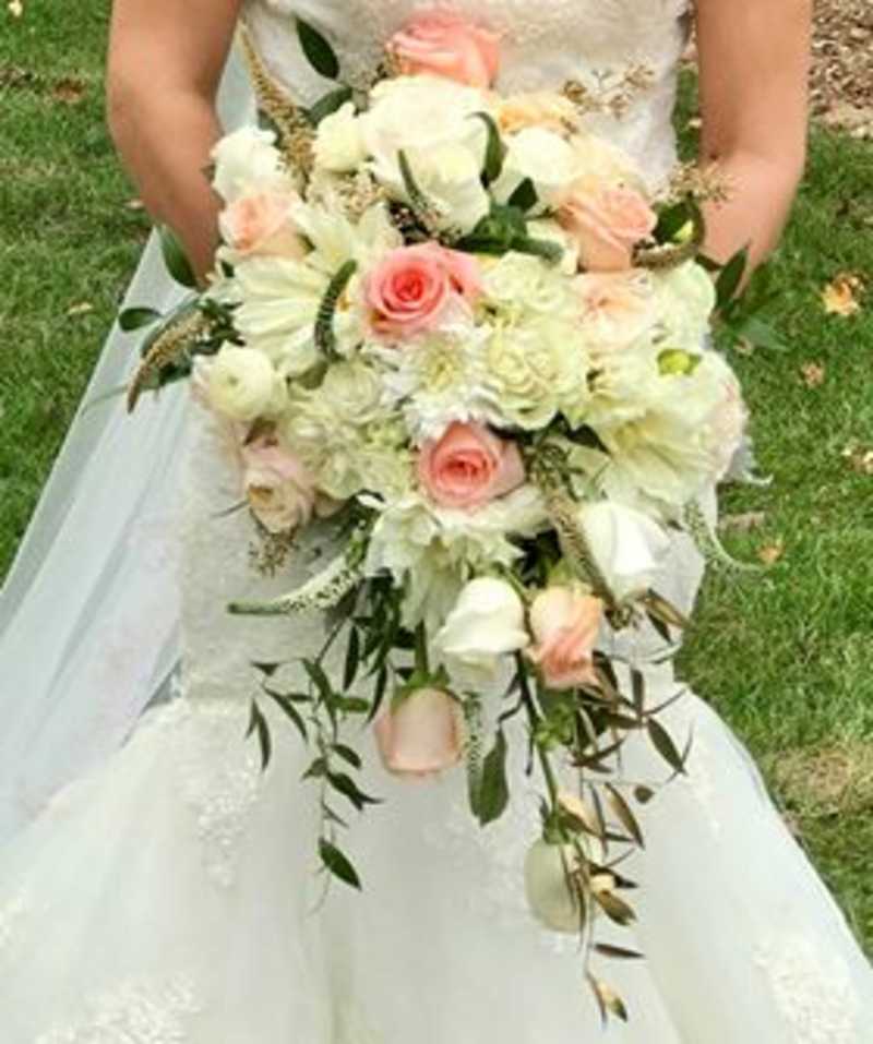 Wedding Photos