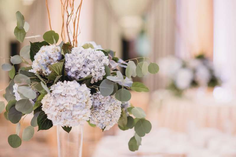 Rita & Tim's Wedding